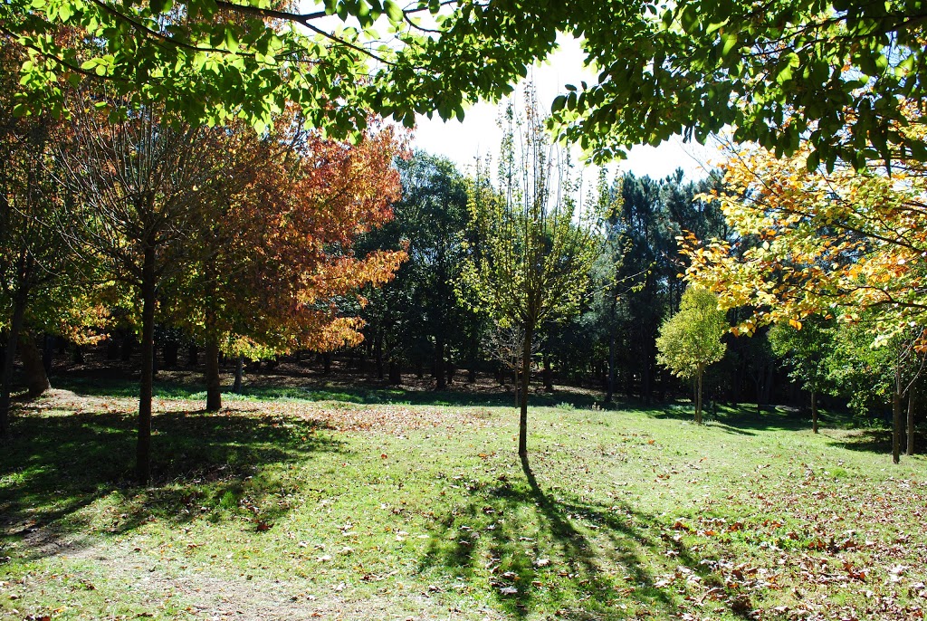 Foto  8