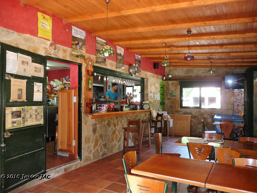 Foto  10