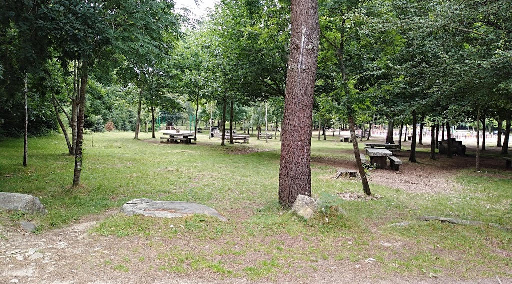 Foto  12