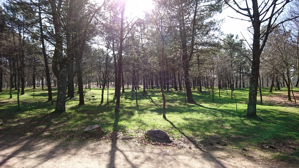 Foto  15