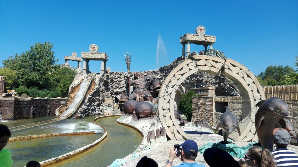 Foto  6