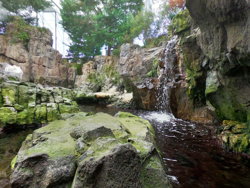 Foto  16