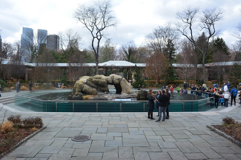 Central Park Zoo 9