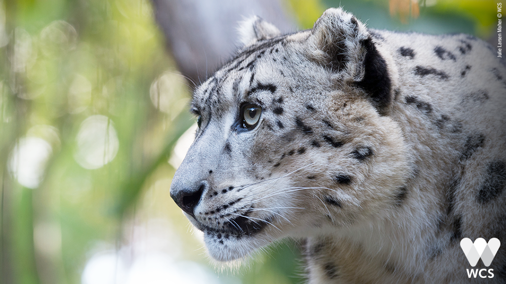 Central Park Zoo 10