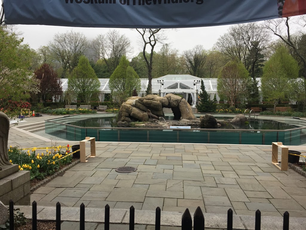 Central Park Zoo 12