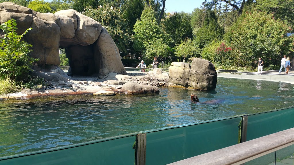 Central Park Zoo 13