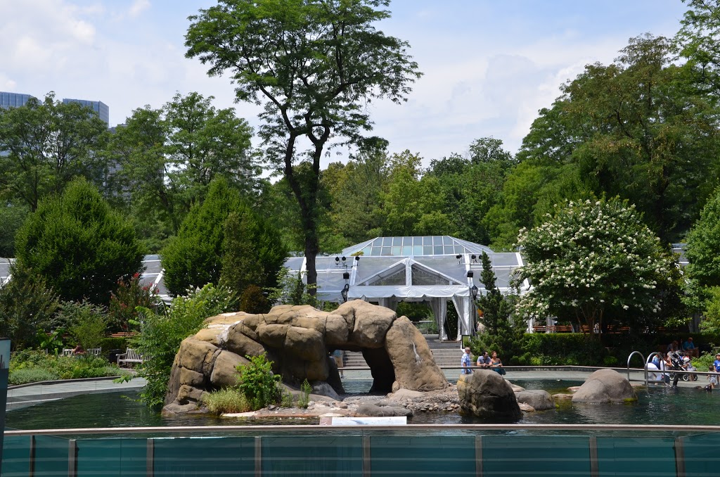Central Park Zoo 17