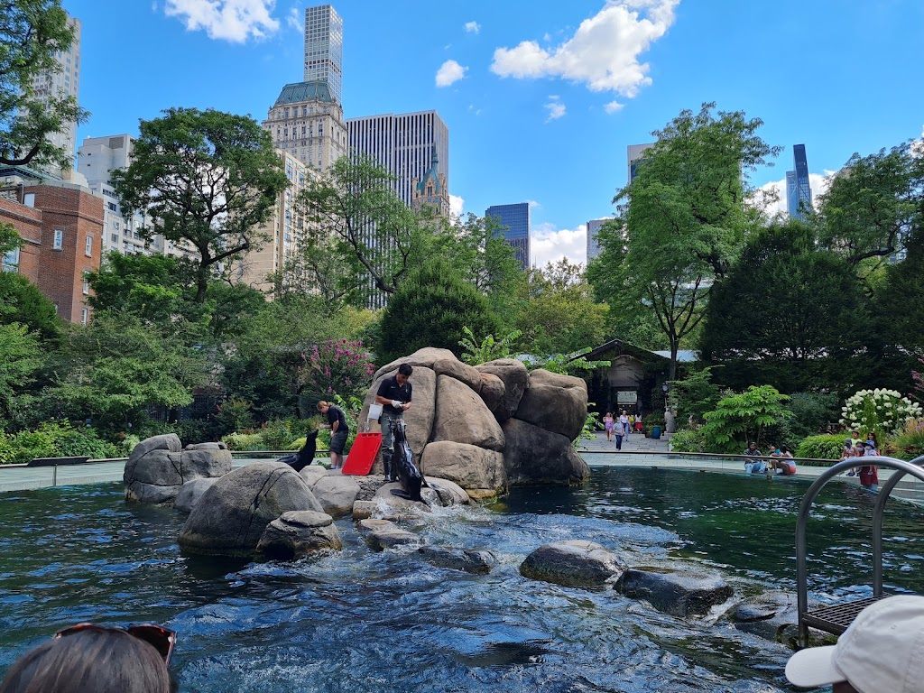Central Park Zoo 3