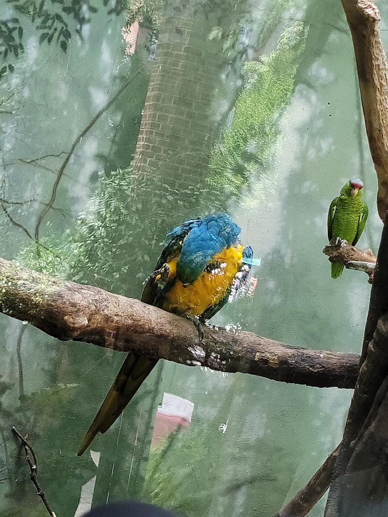 Central Park Zoo 5