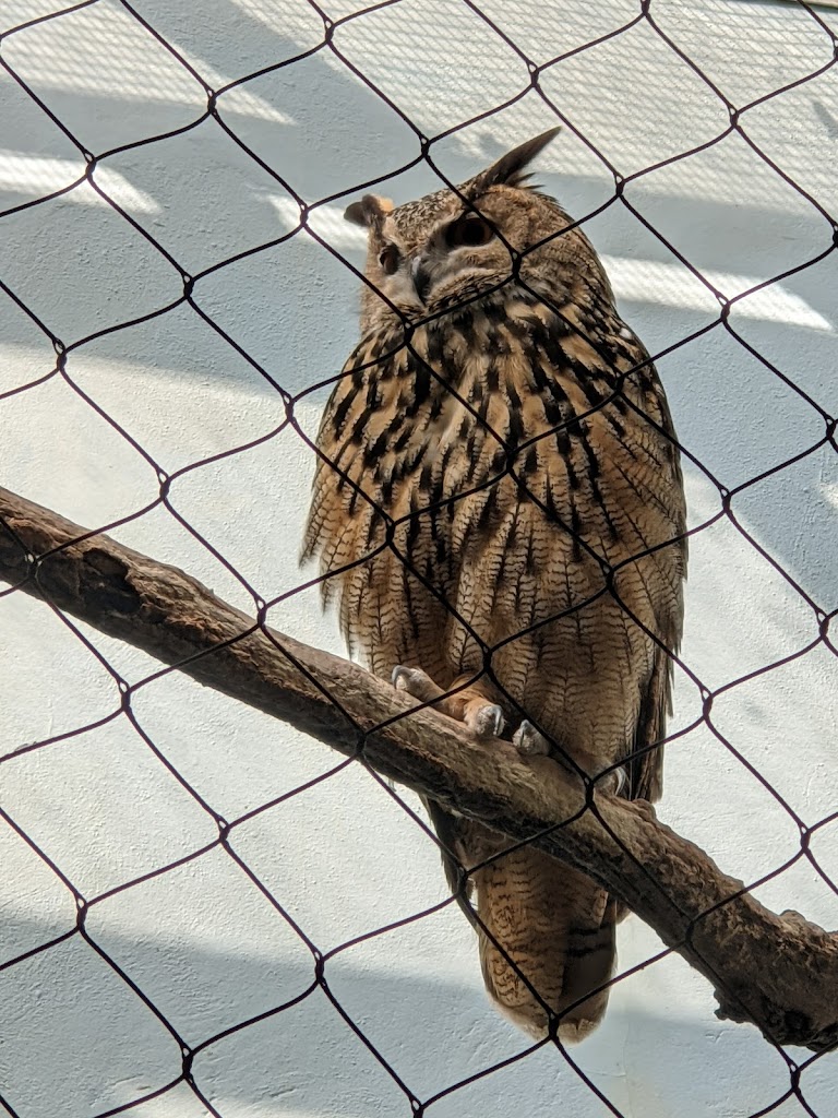 Central Park Zoo 6