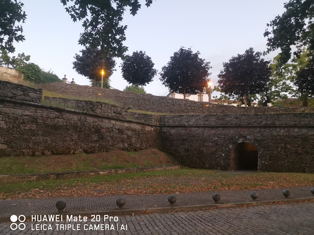 Foto  12
