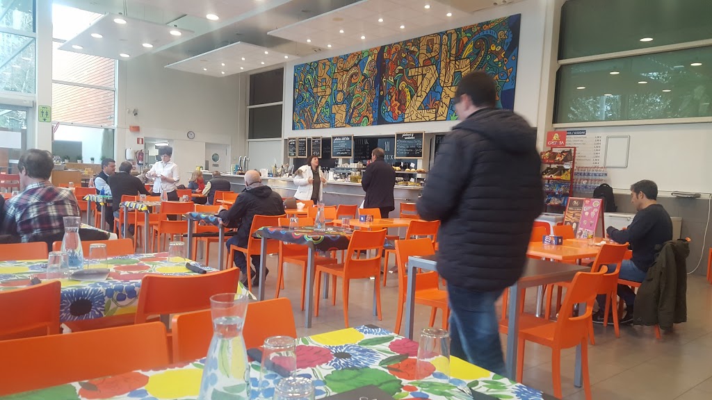 Foto  12