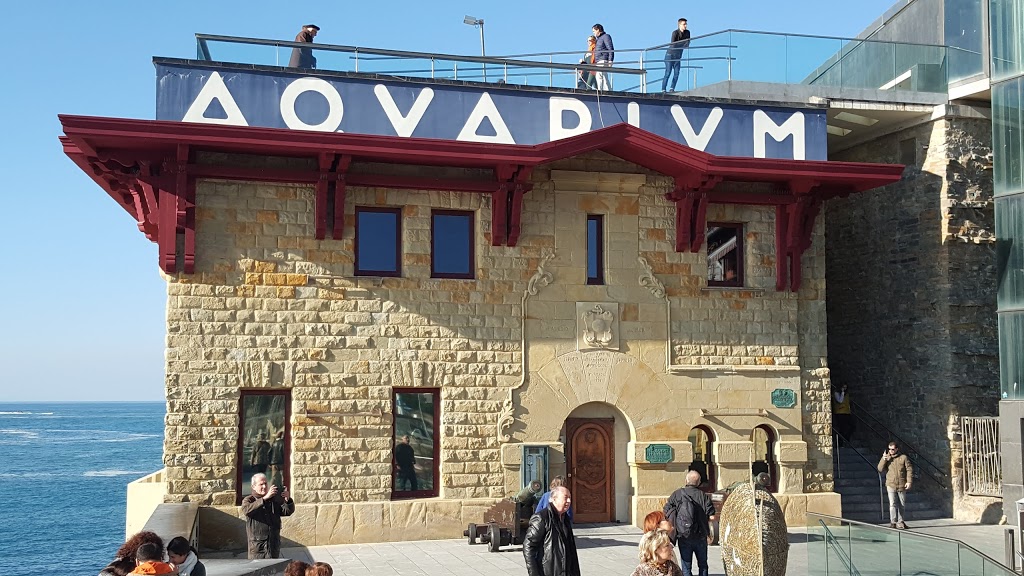 Foto  2