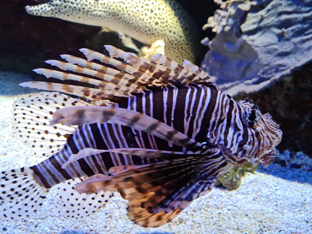 Foto  13