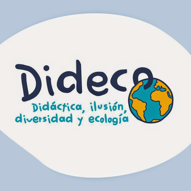 Foto  8