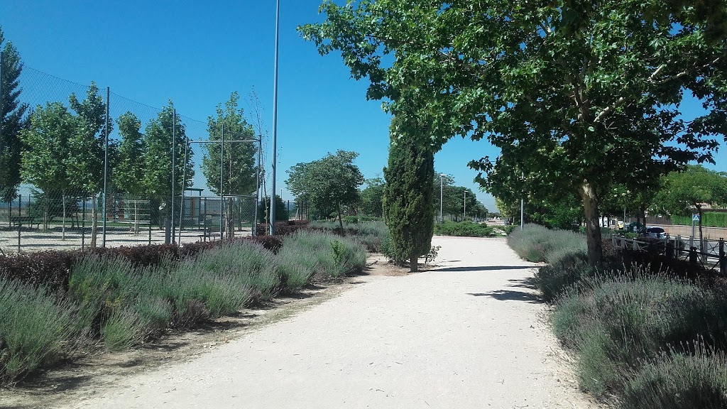 Foto  6