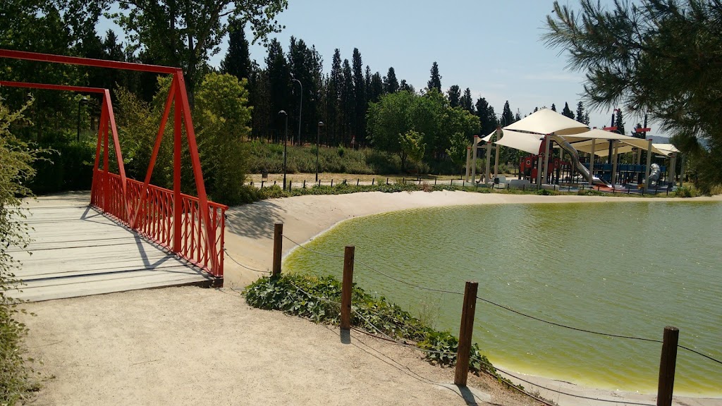 Foto  19