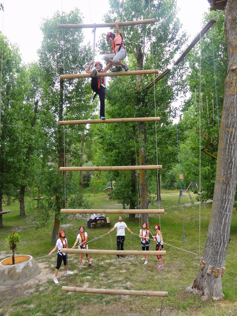Foto  5