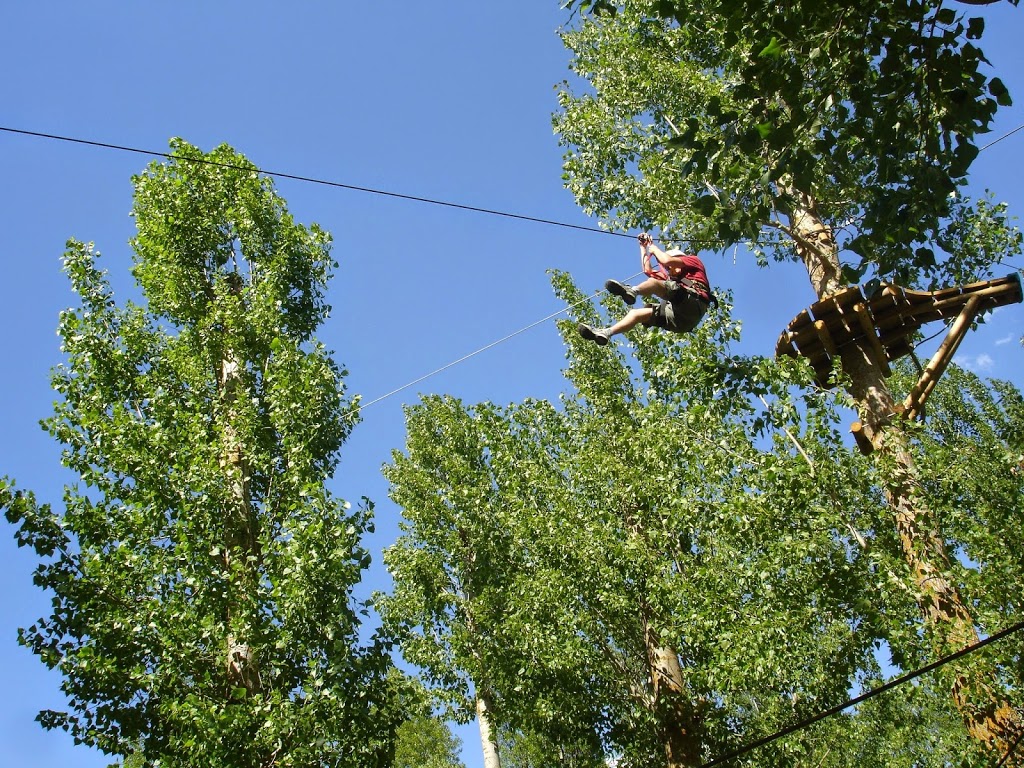 Foto  9
