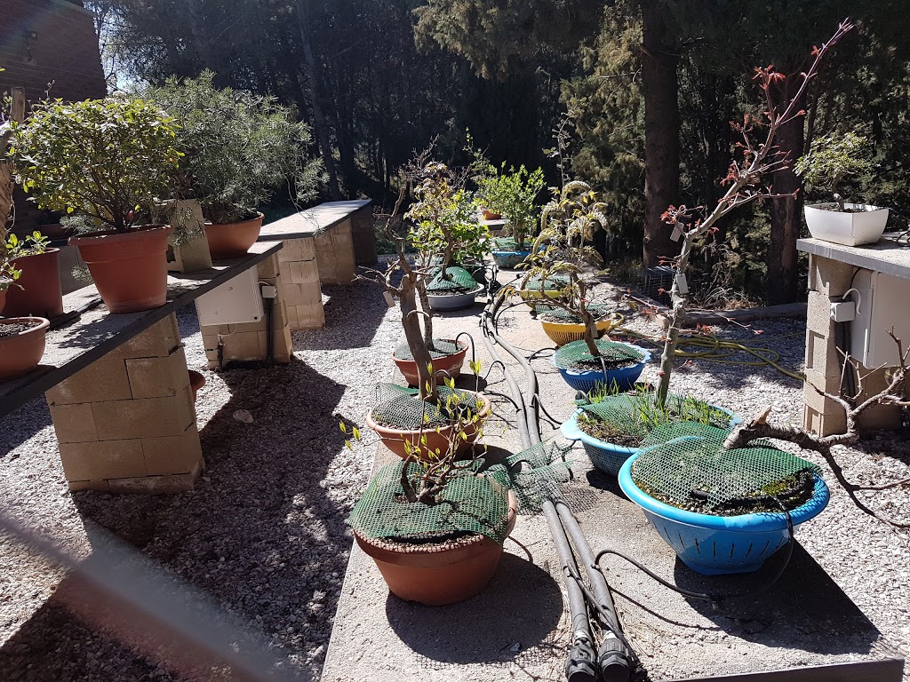 Foto  11