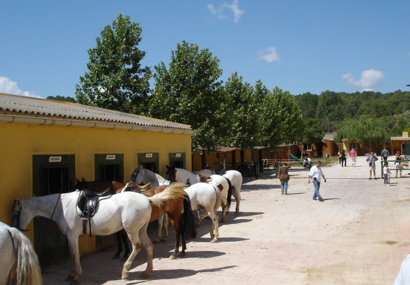 Foto  4
