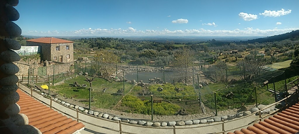 Foto  12