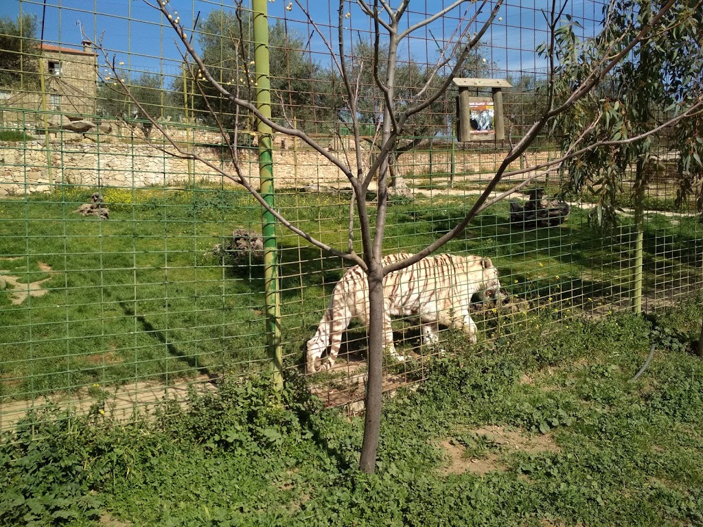 Foto  15