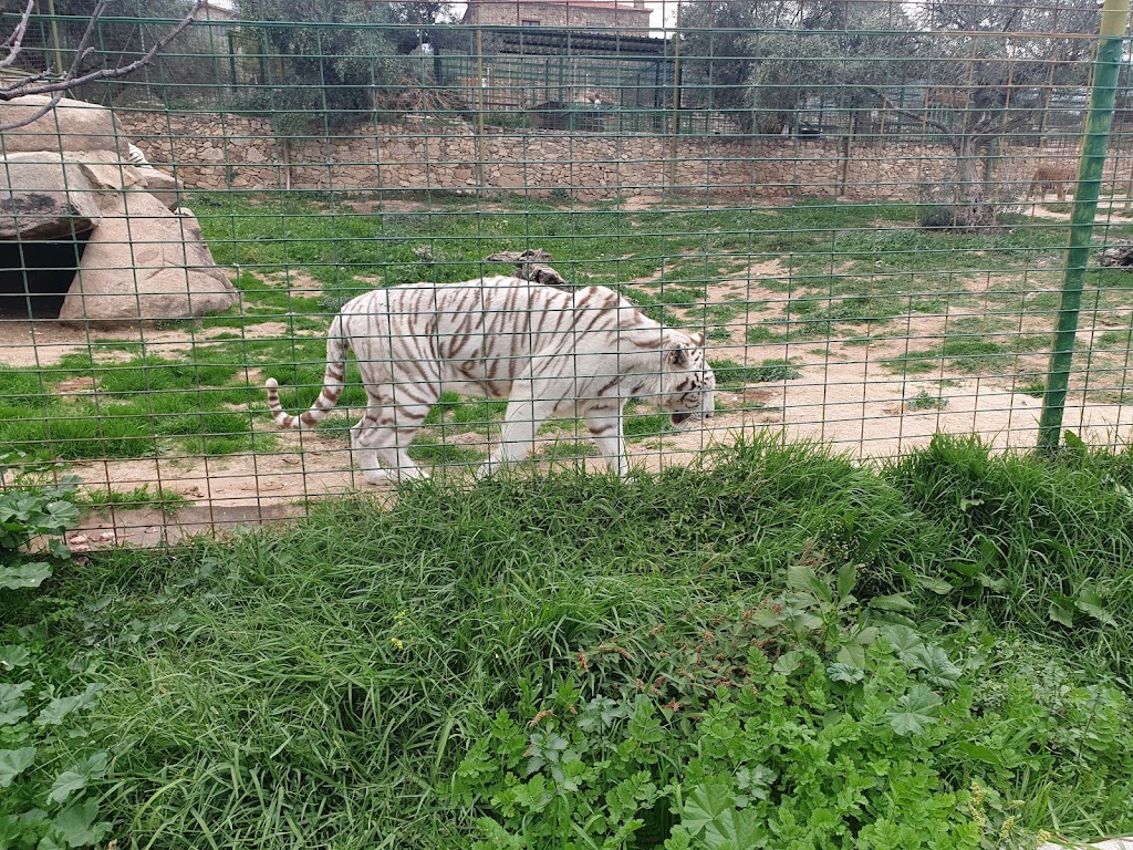 Foto  23