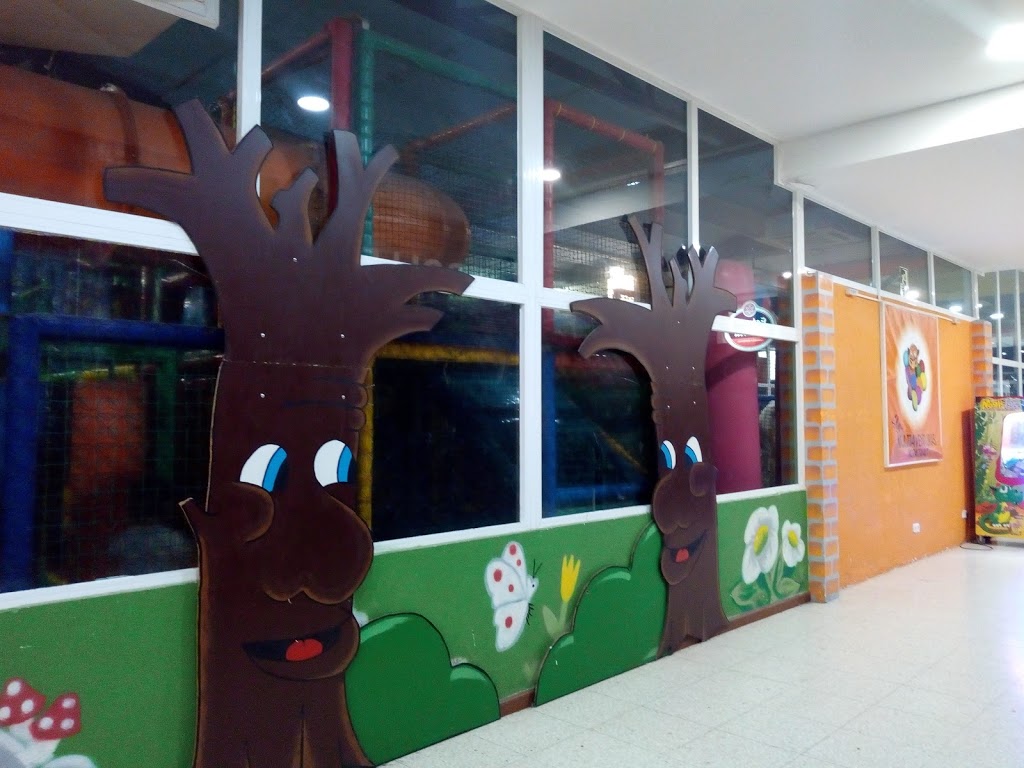 Foto  12