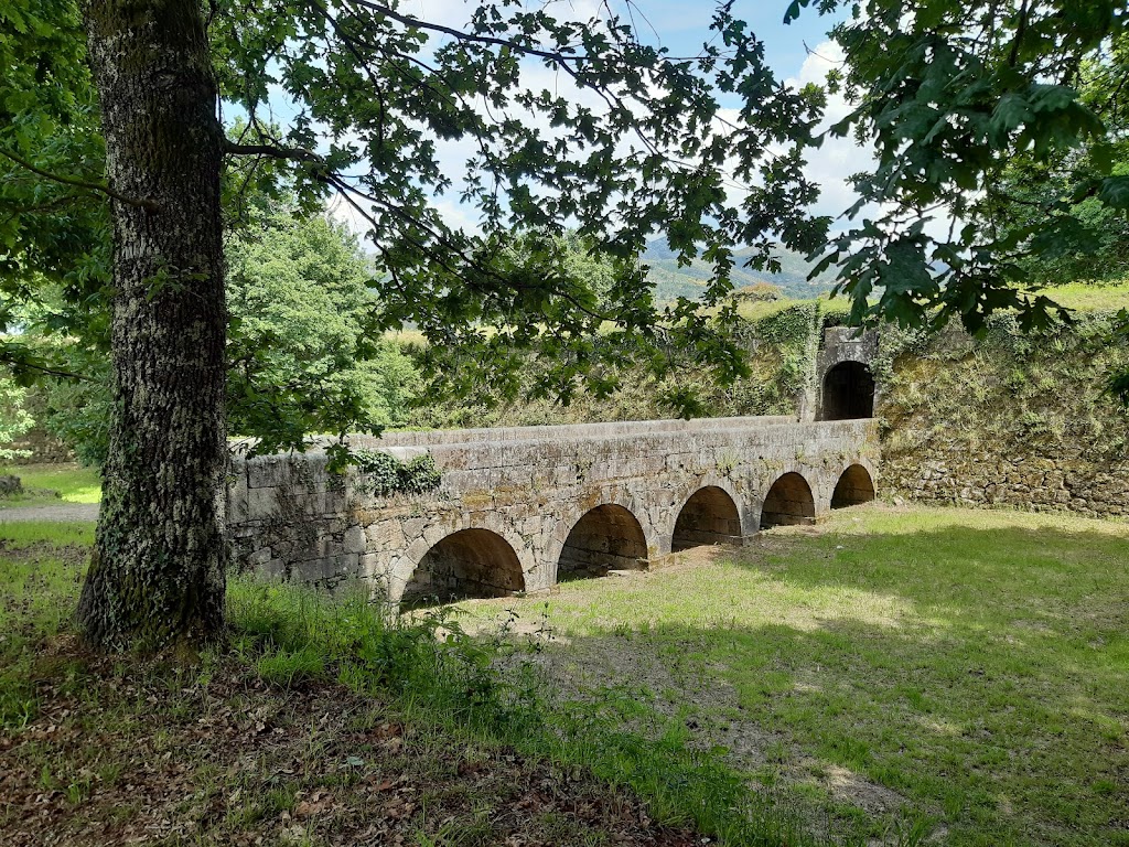 Foto  5