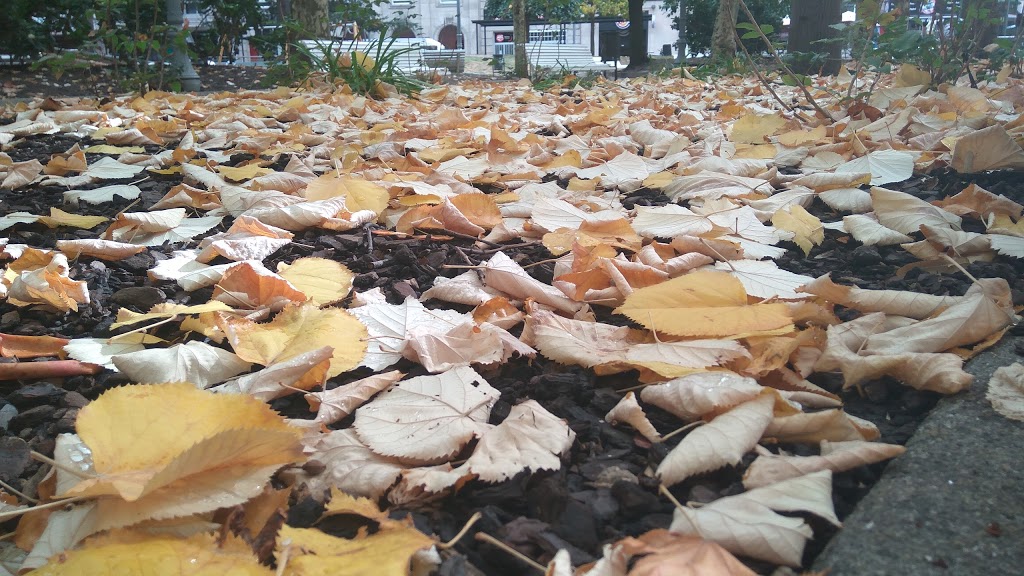 Foto  7
