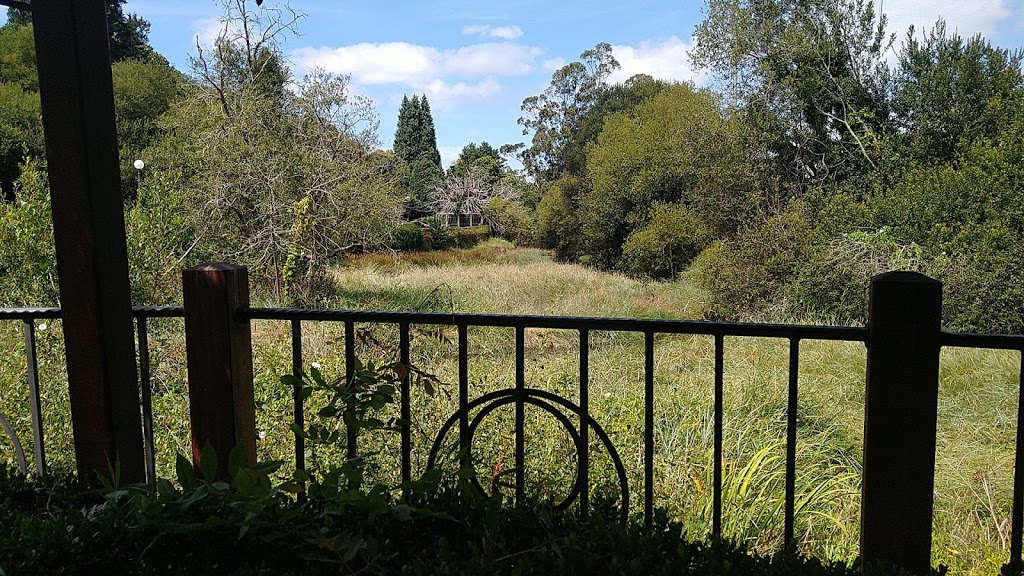 Foto  13