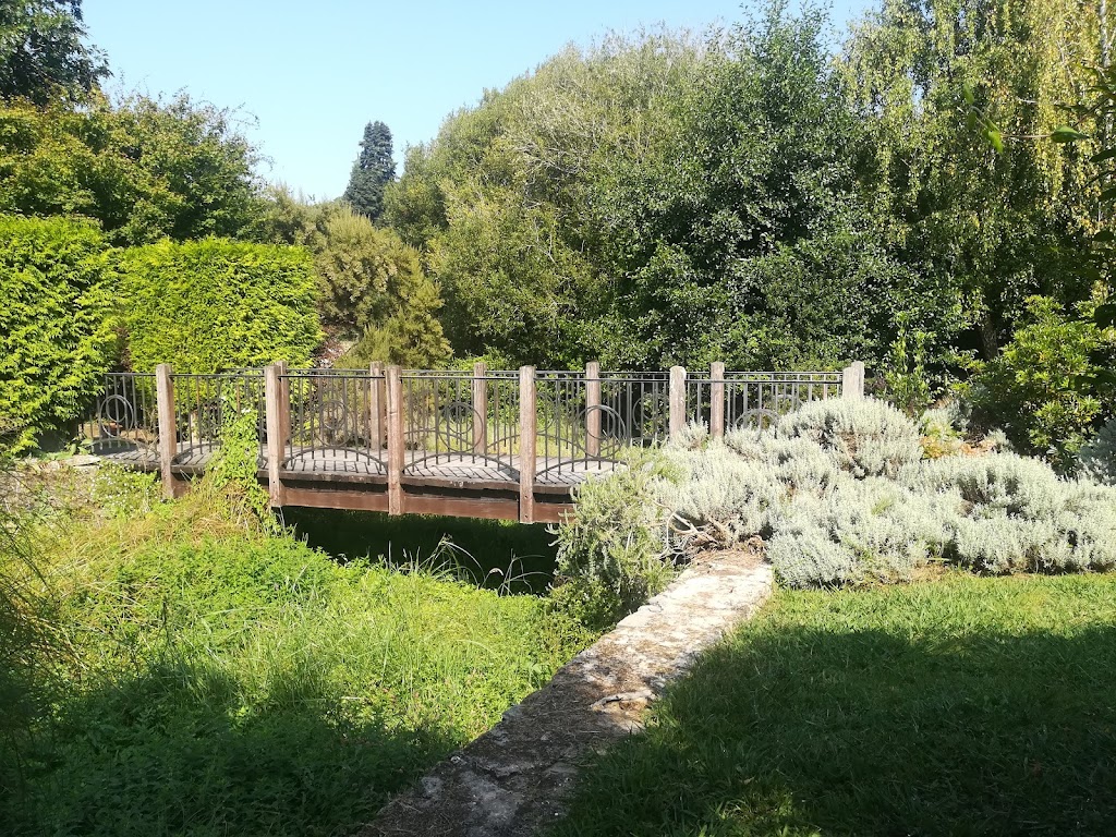 Foto  21