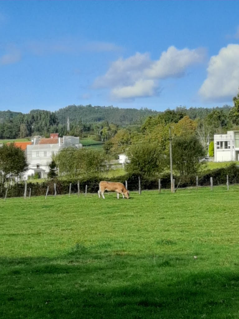 Foto  20