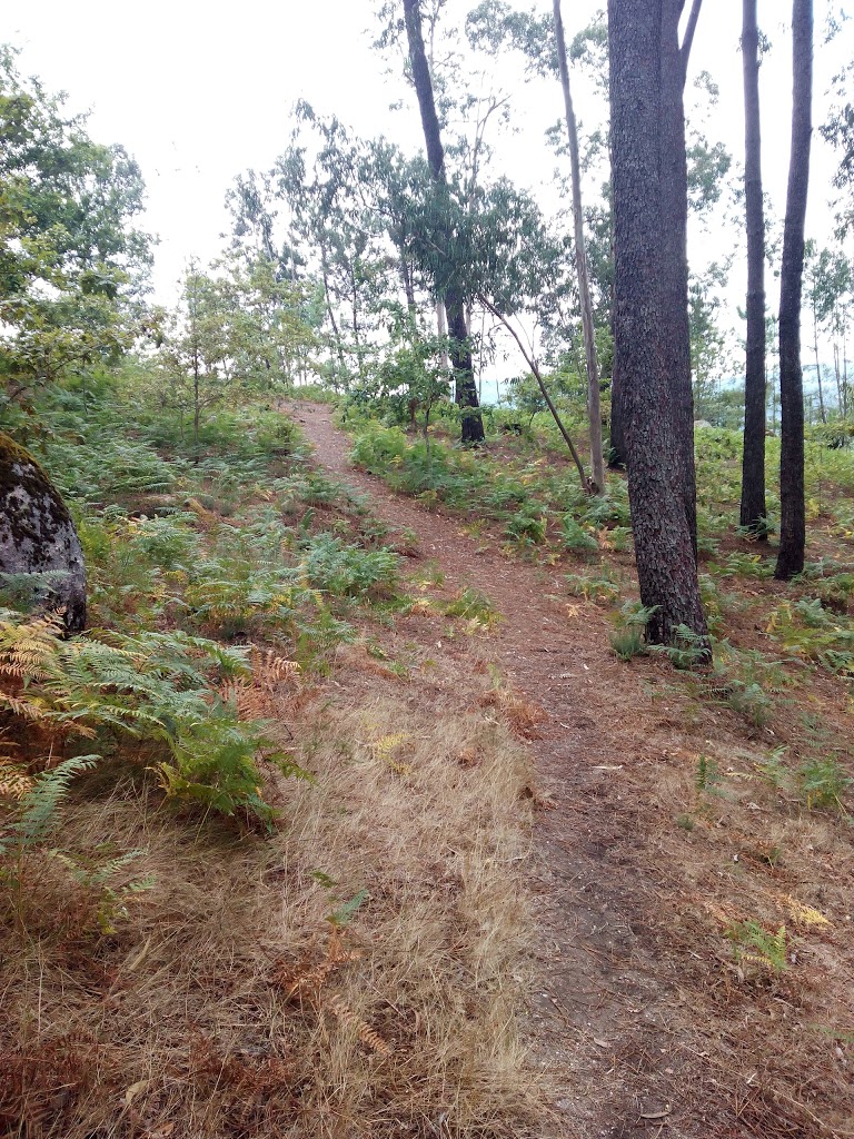 Foto  4