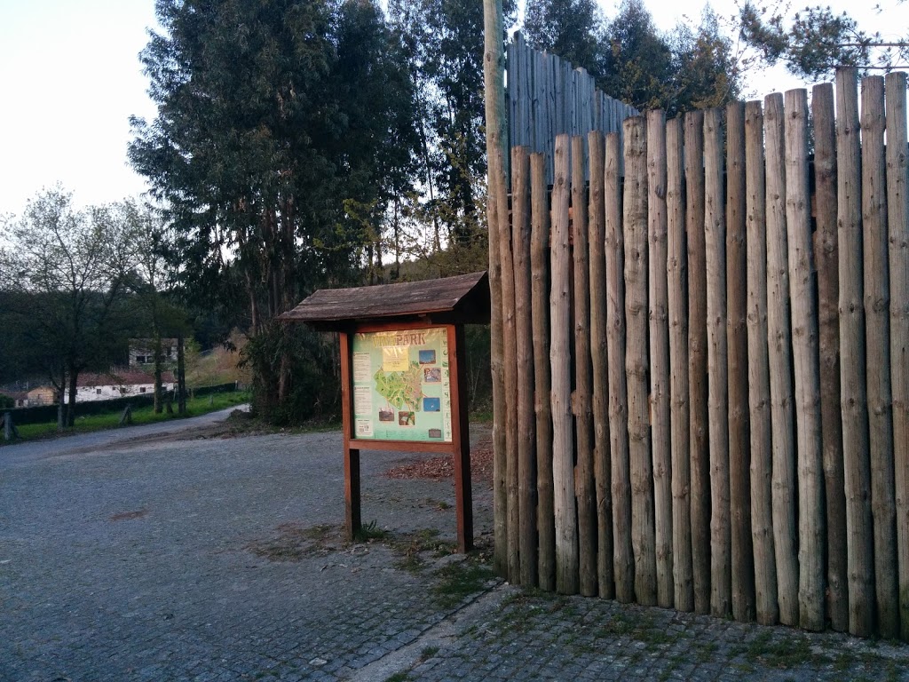 Foto  5