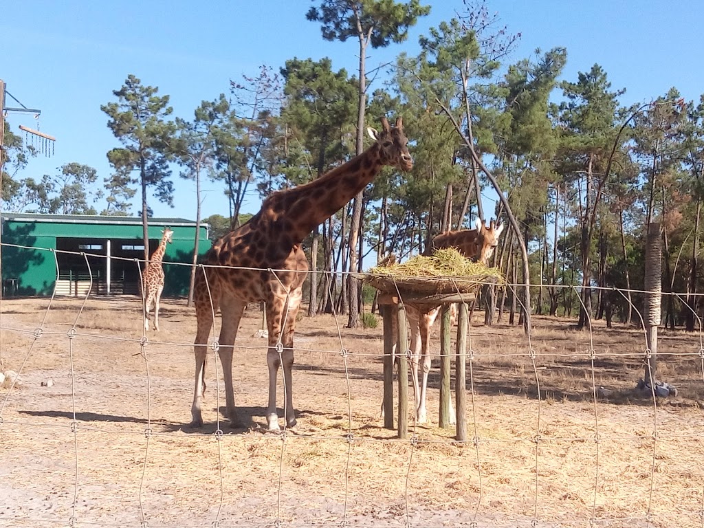 Badoca Safari Park