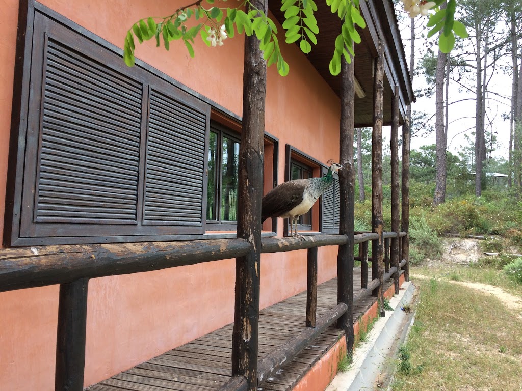 Foto  2