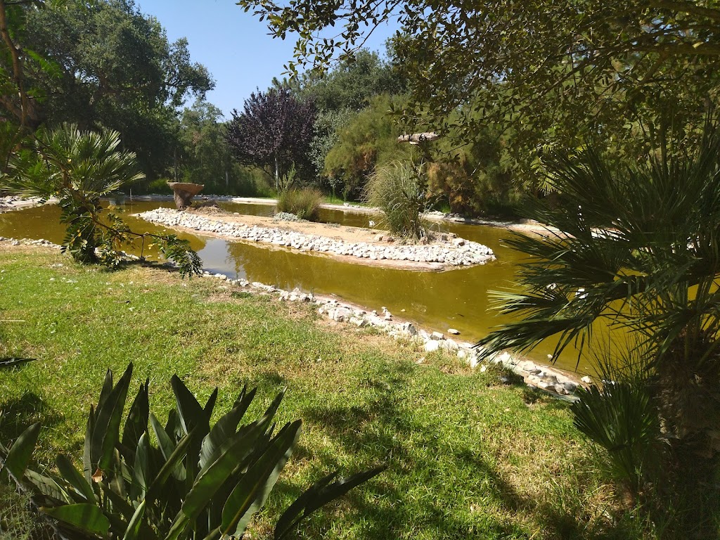Foto  14