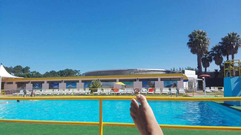 Sereia da Gelfa 24