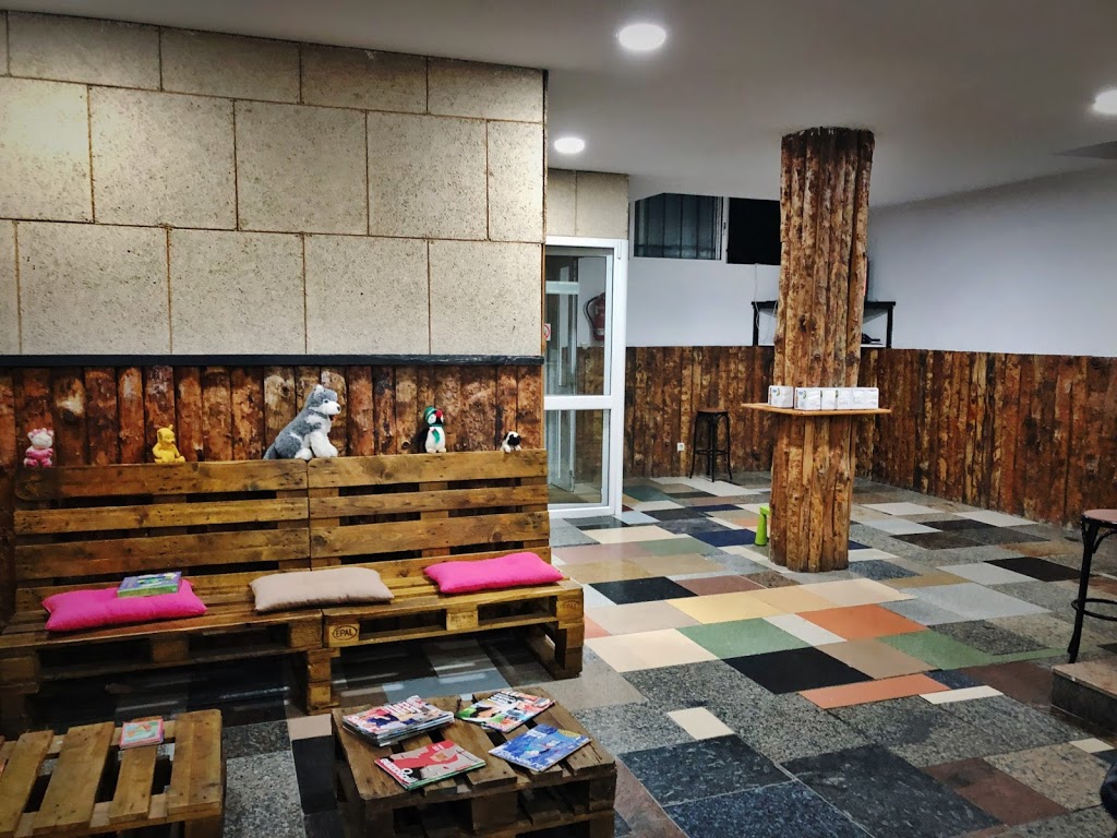 Foto  10