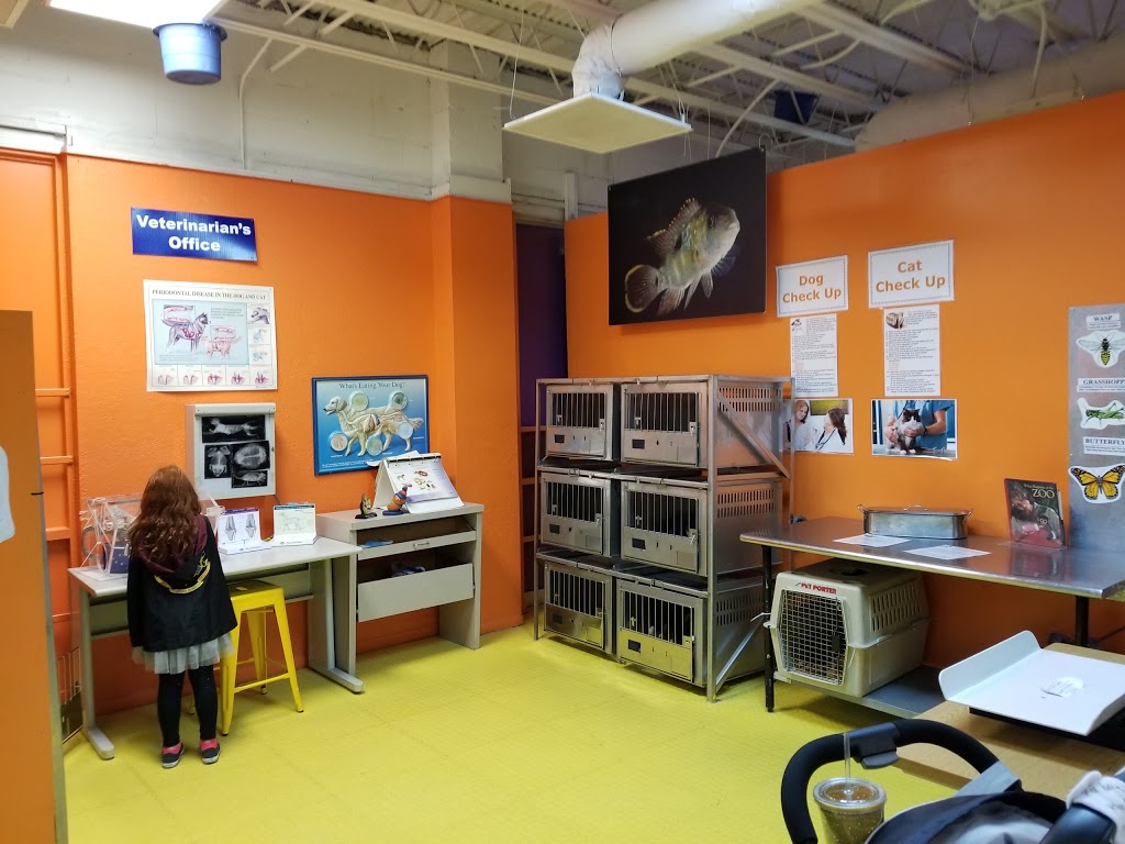 Jacksonville's Hands On Children's Museum 11
