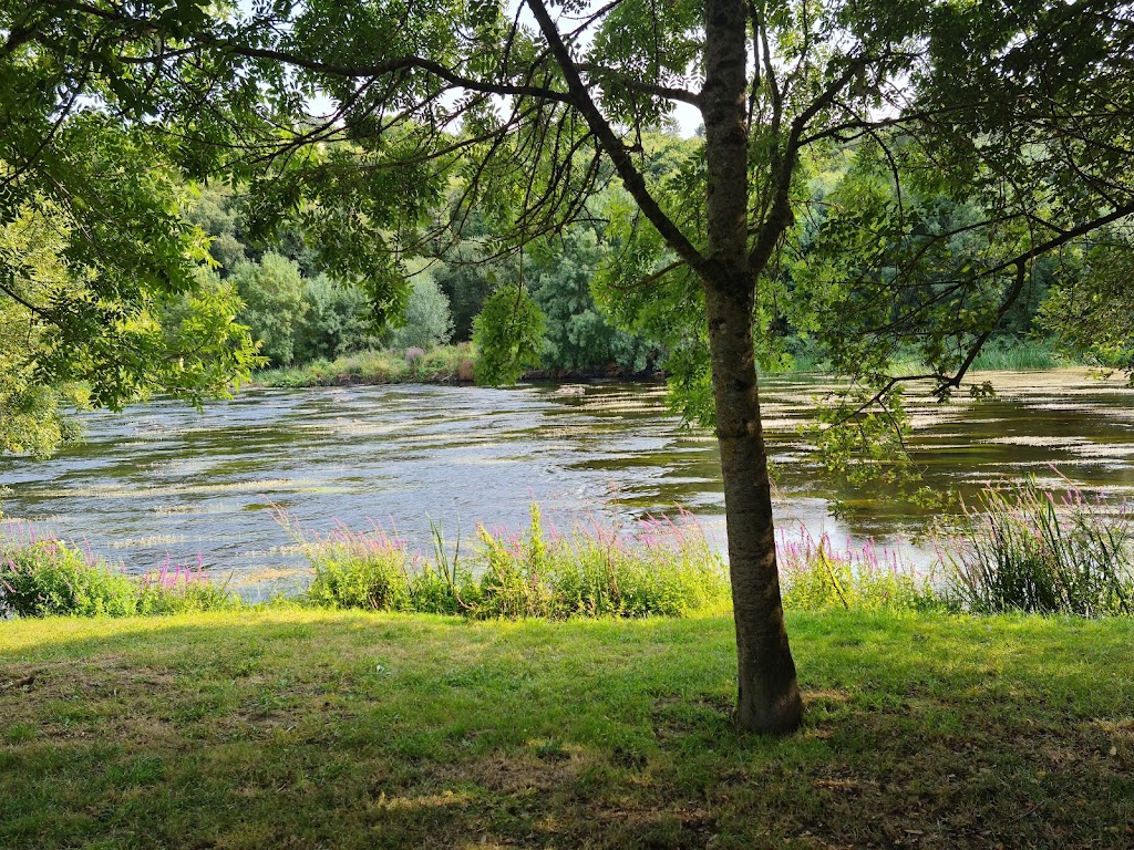 Foto  13