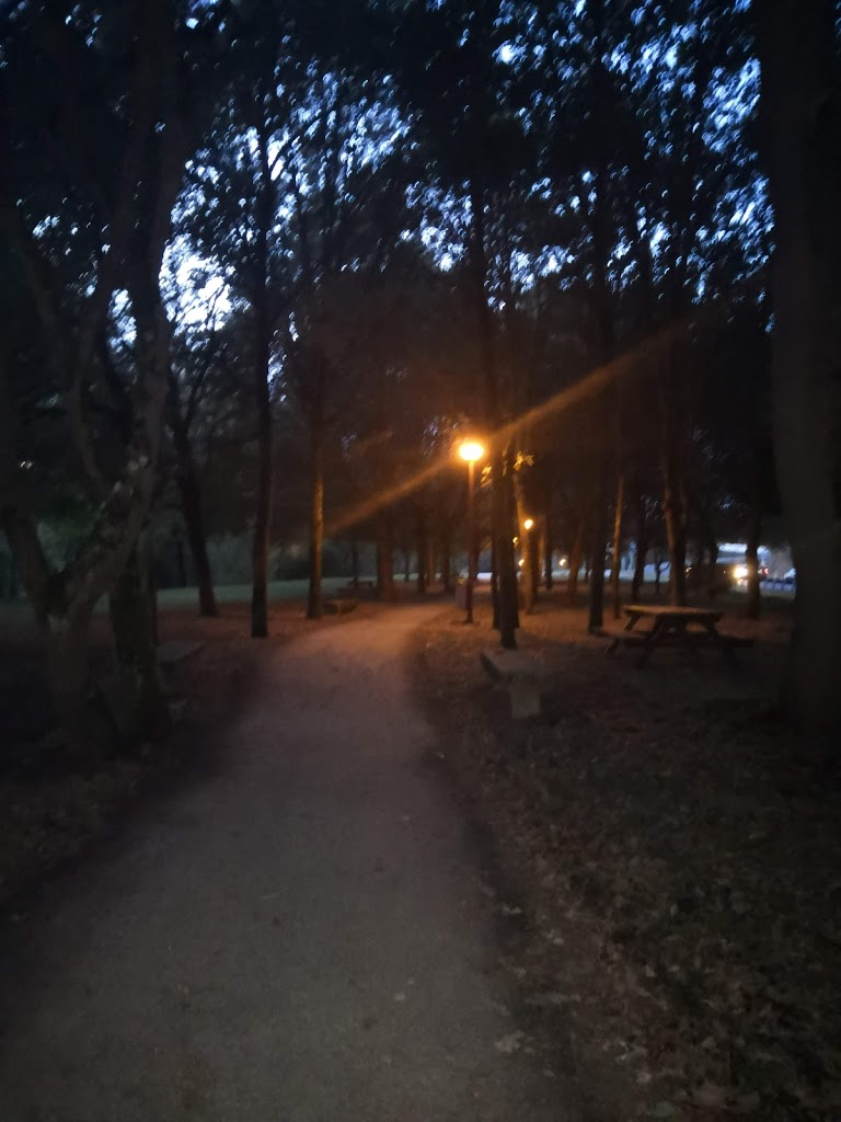 Foto  8