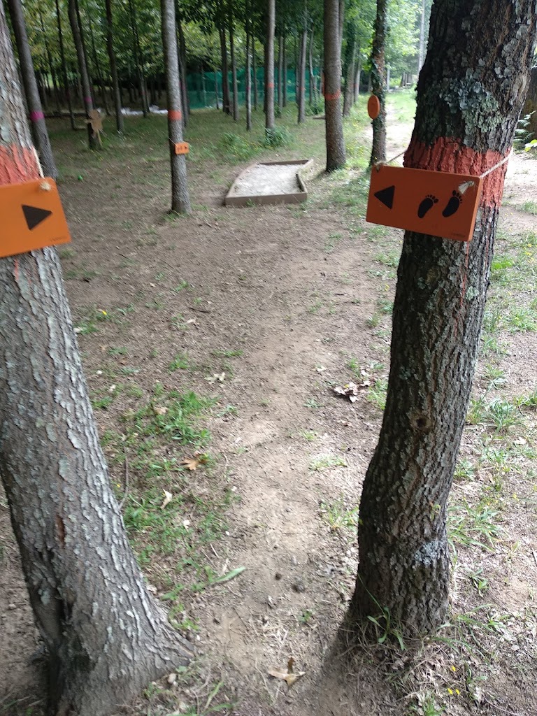 Foto  11