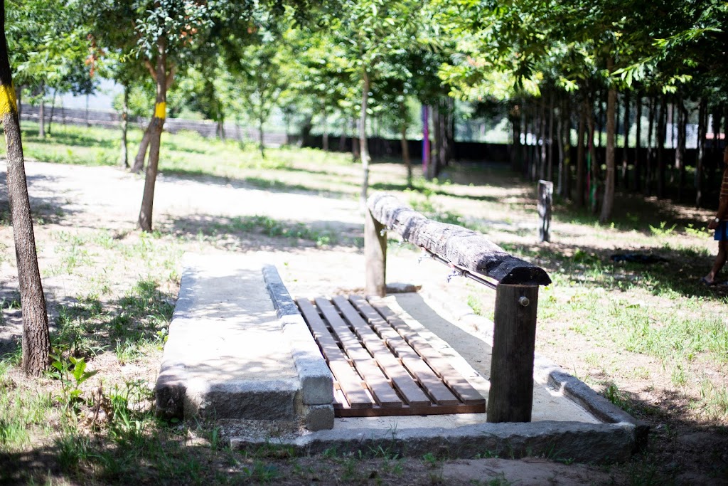 Foto  5
