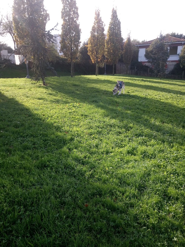 Foto  6