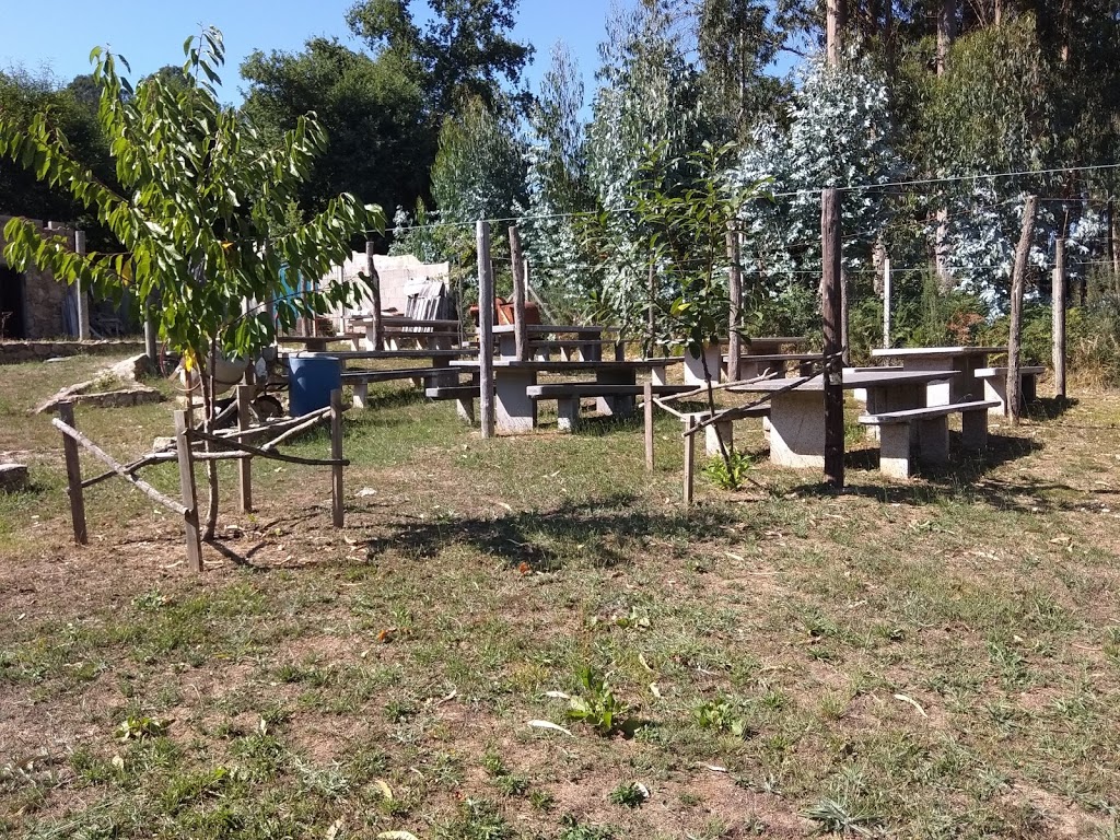 Foto  15