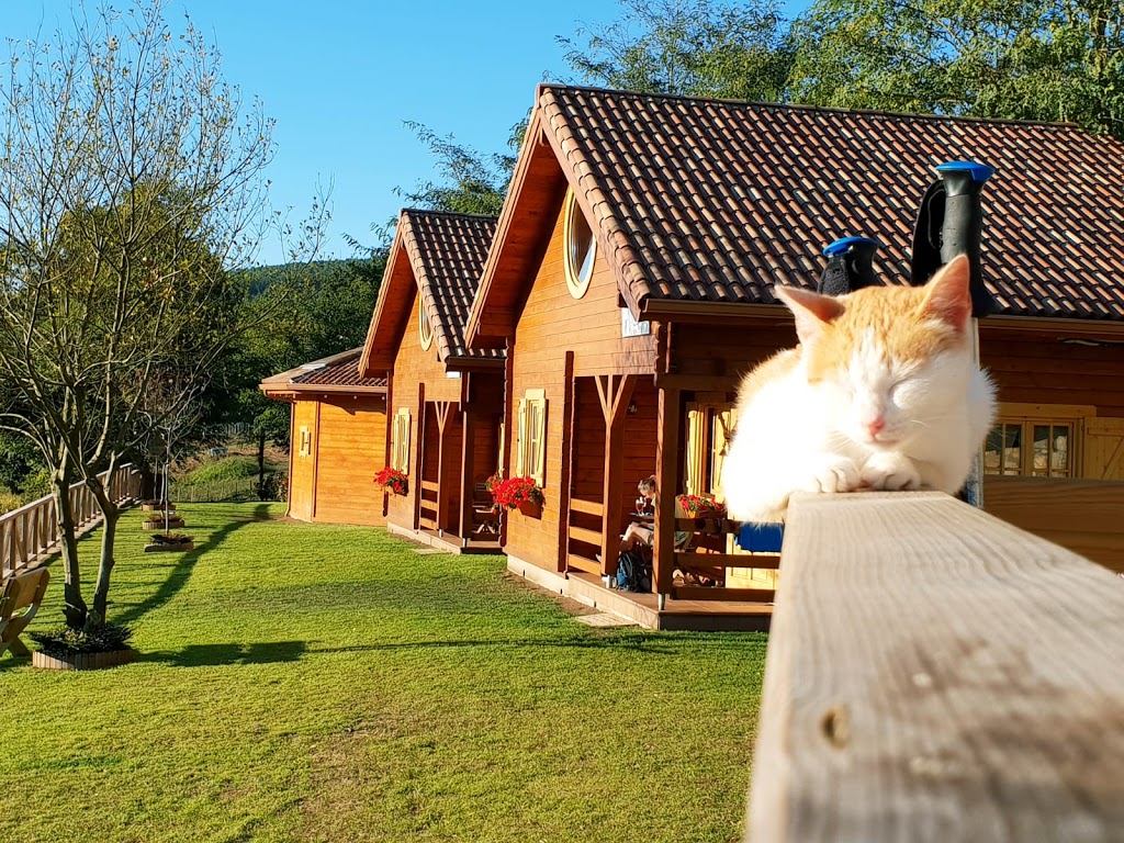 Foto  2