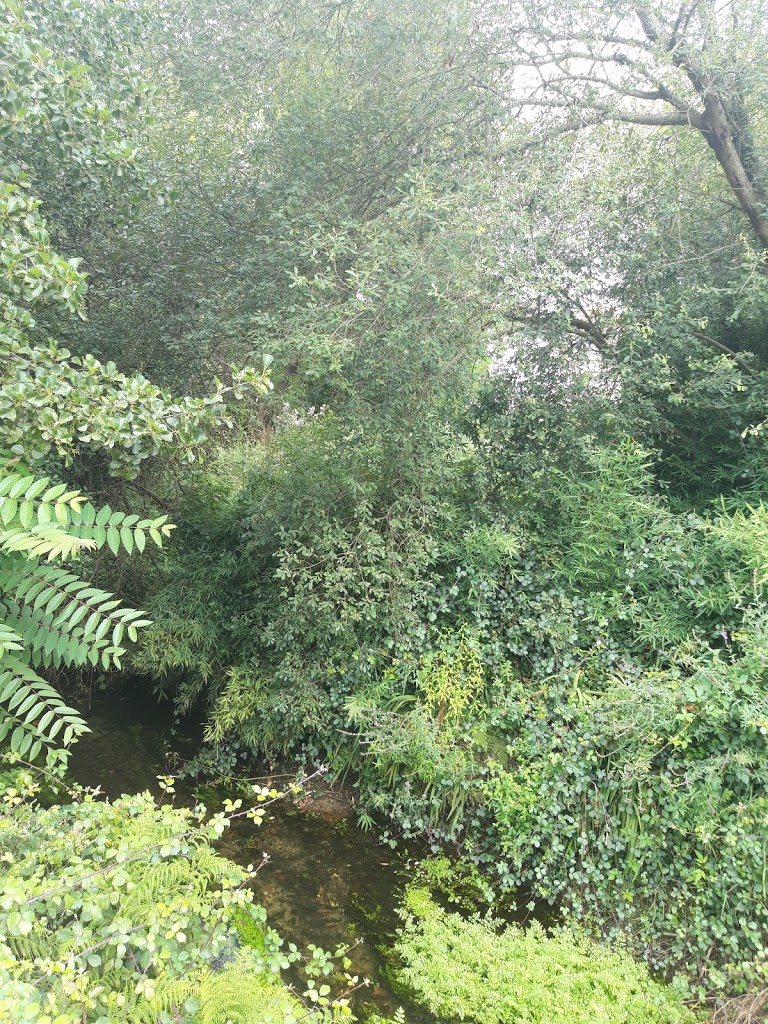 Parque das ánimas 5